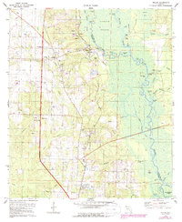 Molino 1978 topographic map thumbnail