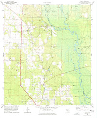 Molino 1978 topographic map preview