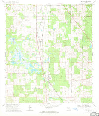 Morriston 1969 topographic map thumbnail