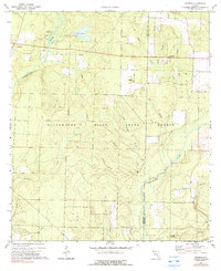 Munson 1973 topographic map thumbnail