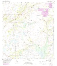 Myakka City NW 1956 topographic map thumbnail