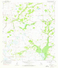 Myakka City NW 1956 topographic map thumbnail