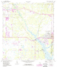 Myakka River 1973 topographic map thumbnail