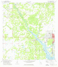 Myakka River 1973 topographic map thumbnail