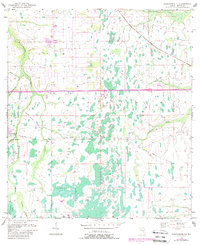 Narcoossee NE 1953 topographic map thumbnail