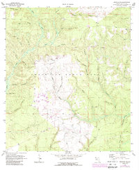 Niceville SE 1970 topographic map thumbnail