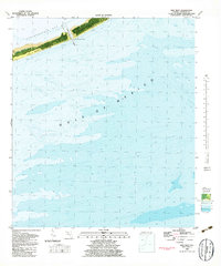 New Inlet 1981 topographic map thumbnail