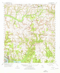 Niceville 1956 topographic map preview