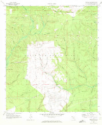 Niceville SE 1970 topographic map thumbnail