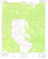 Niceville SE 1970 topographic map thumbnail
