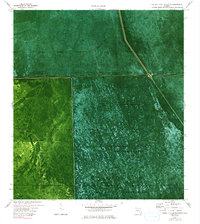 North Of Lone Palm Head 1974 topographic map thumbnail