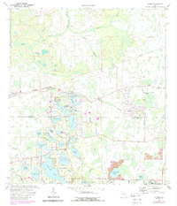 Odessa 1974 topographic map thumbnail