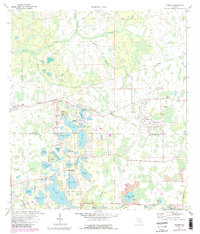 Odessa 1974 topographic map preview