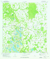 Odessa 1974 topographic map preview