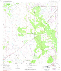 Okeechobee 1 SW 1953 topographic map thumbnail