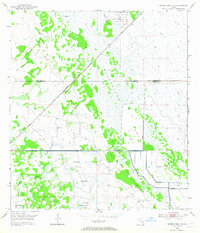 Okeechobee 4 NE 1953 topographic map preview