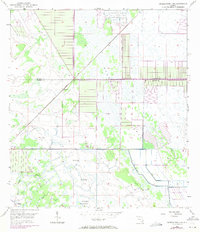Okeechobee 4 NE 1953 topographic map thumbnail