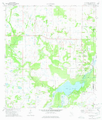 Old Myakka 1973 topographic map thumbnail