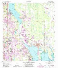 Oldsmar 1974 topographic map thumbnail