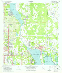 Oldsmar 1974 topographic map preview