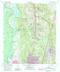 Orange City 1964 topographic map thumbnail