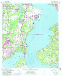 Orange Park 1964 topographic map thumbnail