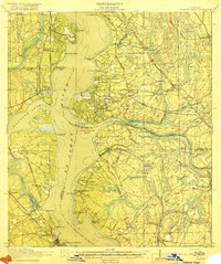Orange Park 1918 topographic map thumbnail