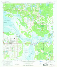 Osteen 1965 topographic map thumbnail