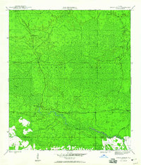 Owens Bridge 1946 topographic map thumbnail