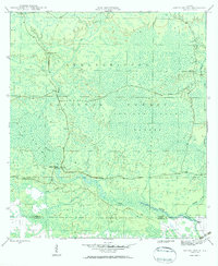 Owens Bridge 1946 topographic map thumbnail