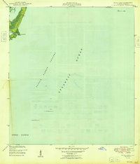 Pacific Reef 1949 topographic map thumbnail