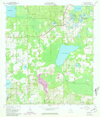Paisley 1965 topographic map thumbnail