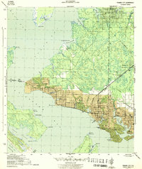 Panama City 1943 topographic map thumbnail