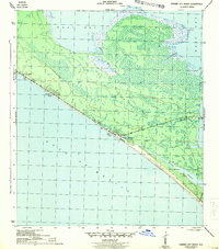 Panama City Beach 1943 topographic map thumbnail