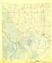 Panasoffkee 1895 topographic map thumbnail