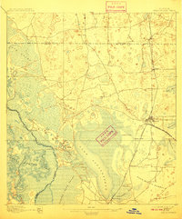 Panasoffkee 1895 topographic map thumbnail