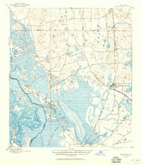 Panasoffkee 1893 topographic map thumbnail