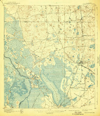 Panasoffkee 1895 topographic map thumbnail