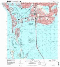 Pass-A-Grille Beach 1994 topographic map thumbnail