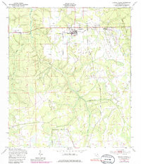 Penney Farms 1949 topographic map thumbnail