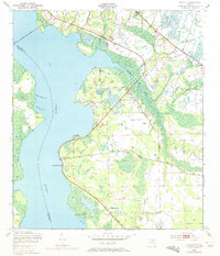 Picolata 1949 topographic map thumbnail