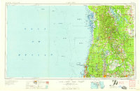 Plant City 1959 topographic map thumbnail