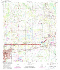 Plant City East 1975 topographic map thumbnail