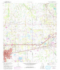 Plant City East 1975 topographic map thumbnail