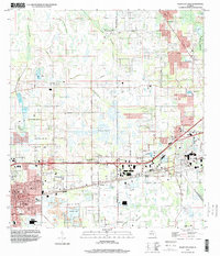 Plant City East 1994 topographic map thumbnail
