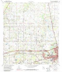 Plant City West 1975 topographic map thumbnail