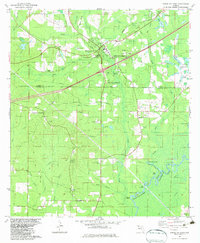 Ponce de Leon 1982 topographic map preview