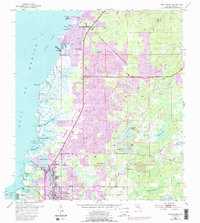 Port Richey 1954 topographic map thumbnail
