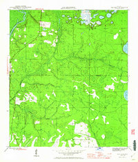 Red Head 1945 topographic map thumbnail
