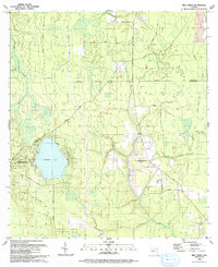 Rice Creek 1993 topographic map thumbnail